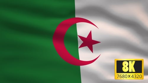 Realistic Waving Algerian Flag Loop Animation