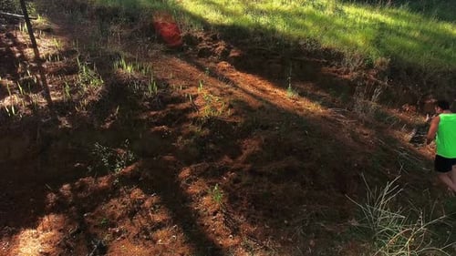 Couple jogging on forest path
