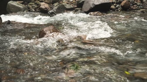 Mountain Stream River