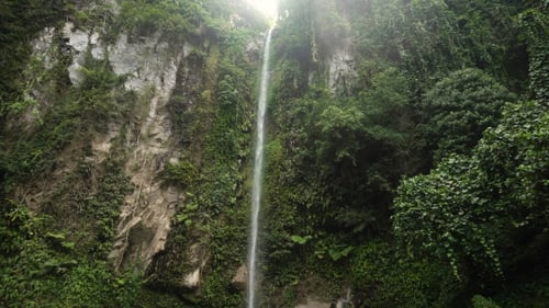 Tropical Waterfall Flowing Through Lush Green Nature