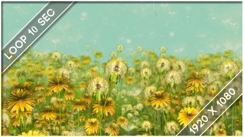 Flowers Dandelions Meadow (4-Pack)