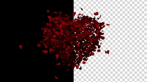 Romantic Red Rose Petals Heart Burst Reveal