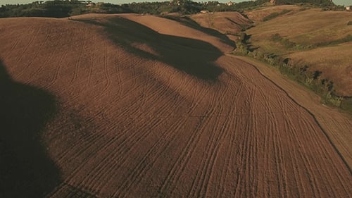 Golden Fields at Sunrise Aerial View