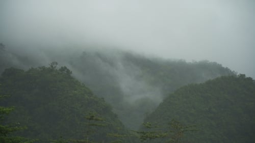 Nebel in den Bergen.
