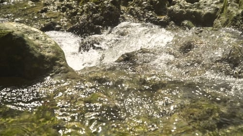 Mountain Stream River