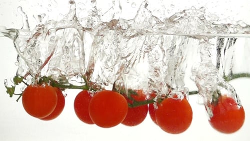 Cherry Tomatoes Plunge Into Water Tank