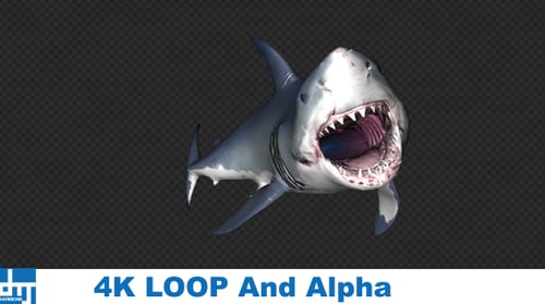 Realistic 3D Great White Shark Jaw Attack