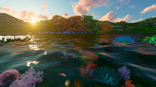 Fleurs d'eau dans le lac au coucher du soleil
