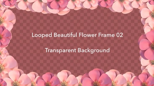 Pink Flower Frame Video Border