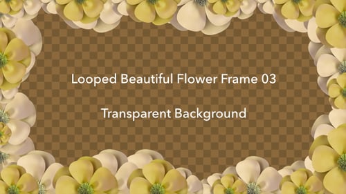 Animated Floral Frame Video Overlay