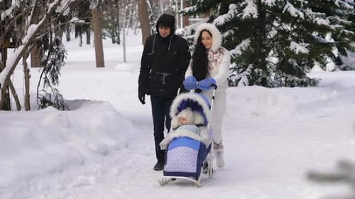 Young Beautiful Dressed Parents Walking on Snow-covered Park with Child
