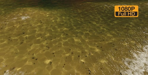 Reflecting Sunlight on Moving Water Surface