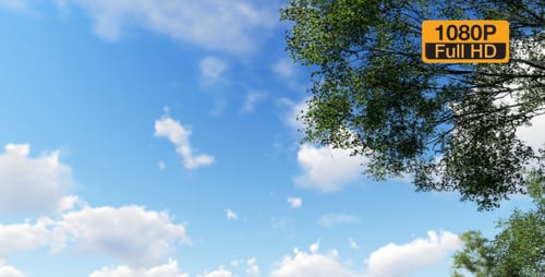 Moving Blue Sky and Clouds with Green Tree