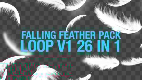Looping Falling White Feathers Overlay with Alpha Channel