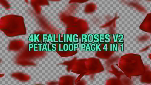 Falling Red Rose Petals Alpha Channel Background