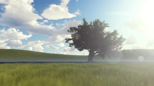 Lush Green Field with a Lone Tree Under a Bright Sunny Sky