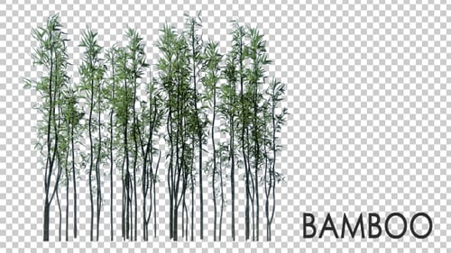 3D Bambusbäume