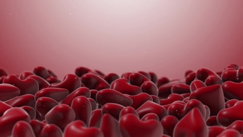 Animated Red Hearts Loop for Love and Romance