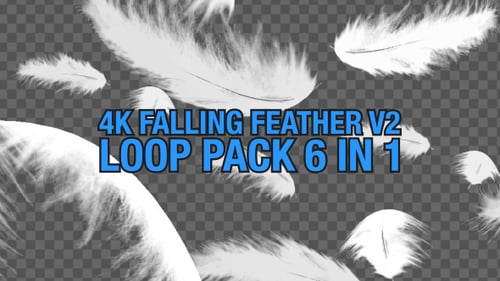 Soft Falling White Feathers Loopable Animation