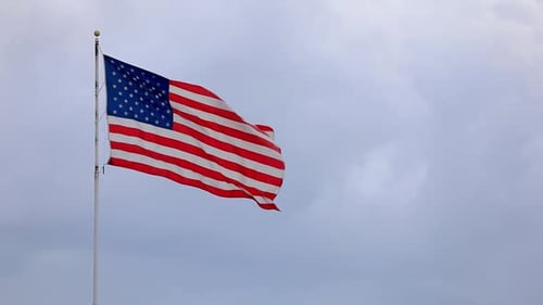 Flag of the United States of America