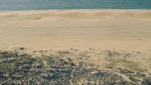 Aerial View Above Ocean Beach