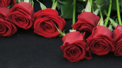 Rote Rosen liegen auf dem Boden