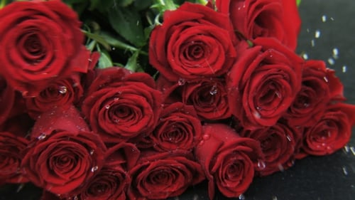 Red Roses Falling Down