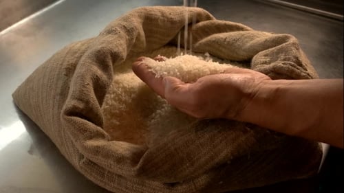 Pouring Rice from Hand Into Burlap Sack