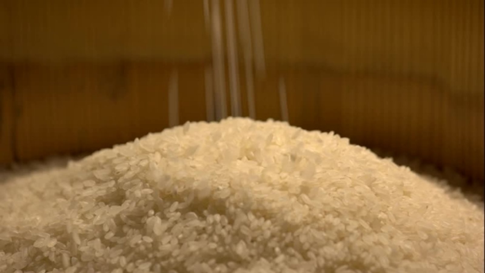 Rice Falling, Food Stock Footage ft. asian & cereal - Envato