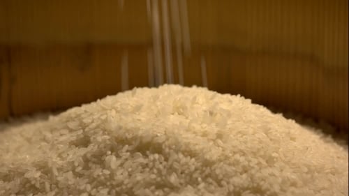 Close Up Shot of Rice Being Poured