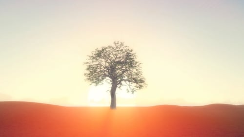Árbol de crecimiento realista al amanecer
