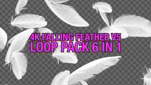 Graceful Falling White Feathers Animated Effect