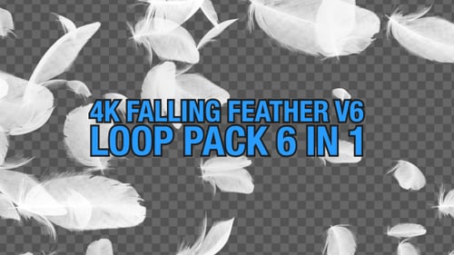 4K Packung mit fallenden Federn, 6 in 1