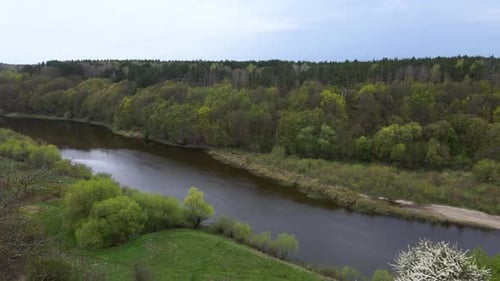 Famille heureuse prenant un selfie par smartphone sur la côte des collines de la rivière Sluch