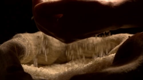 Hands Scooping Rice From Burlap Sack in Dark