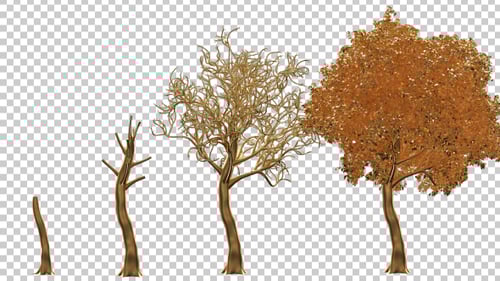 Animated Tree Growth with Seasonal Leaf Change