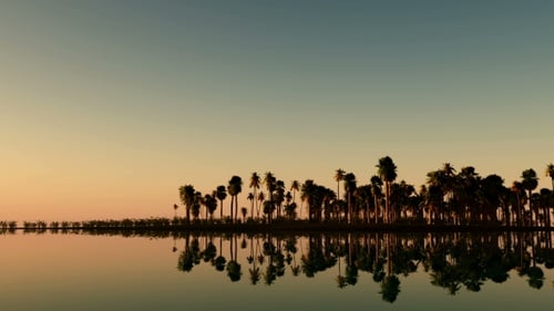 Tropical Island with Palms