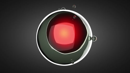 Girar divisão celular