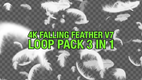 Paquete de plumas caídas 4K V7 3 en 1