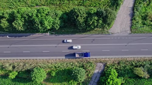 Voiture circulant sur une route asphaltée traversant la vaste forêt