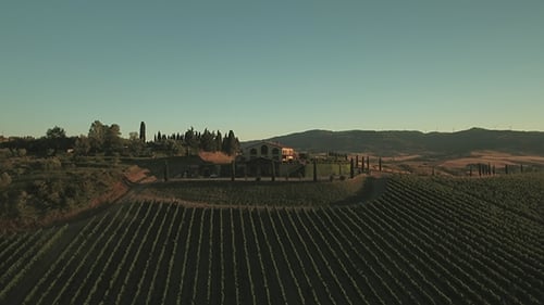 Aerial Drone Footage of Vineyards and Countryside