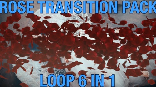 Romantic Falling Red Rose Petals Video Overlay Effect