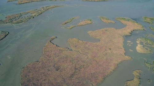 Flug über die sumpfige Küste bei Ebbe