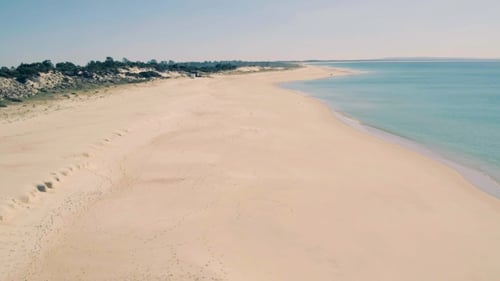 Aerial View Above Ocean Beach