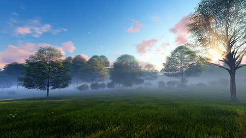 Fondo Morning Park