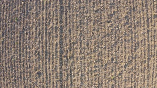Aerial Shot of Plowed Empty Field During Winter on Sunny Day - Top View