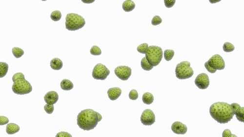 Infinite Rain of Custard Apples on White