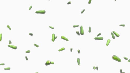 Regen der langen Zucchini auf weißem Hintergrund