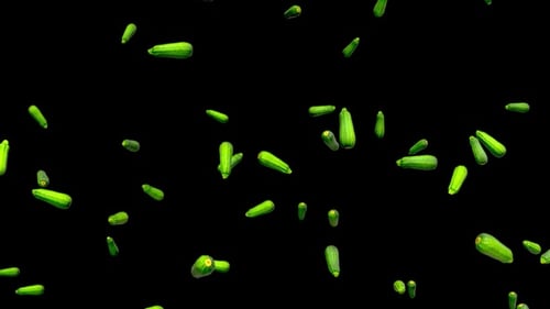 Regen der langen Zucchini auf schwarzem Hintergrund