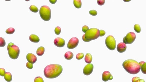 Unendlicher Regen der Mango auf Weiß